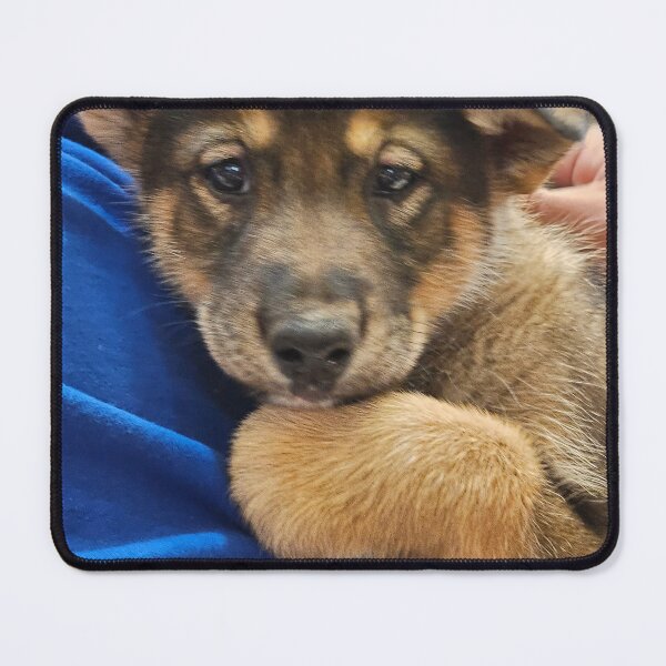 Item preview, Alaskan Husky, Sled Dog, Puppy, Iditarod, Future Champion  designed and sold by Nancy Bateman.