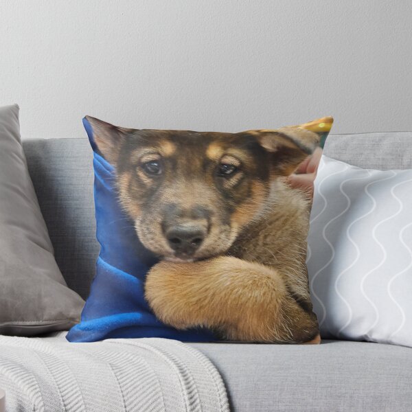 Item preview, Alaskan Husky, Sled Dog, Puppy, Iditarod, Future Champion  designed and sold by Nancy Bateman.