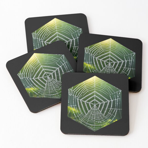 Item preview, Spider Web designed and sold by AbsoluteA.