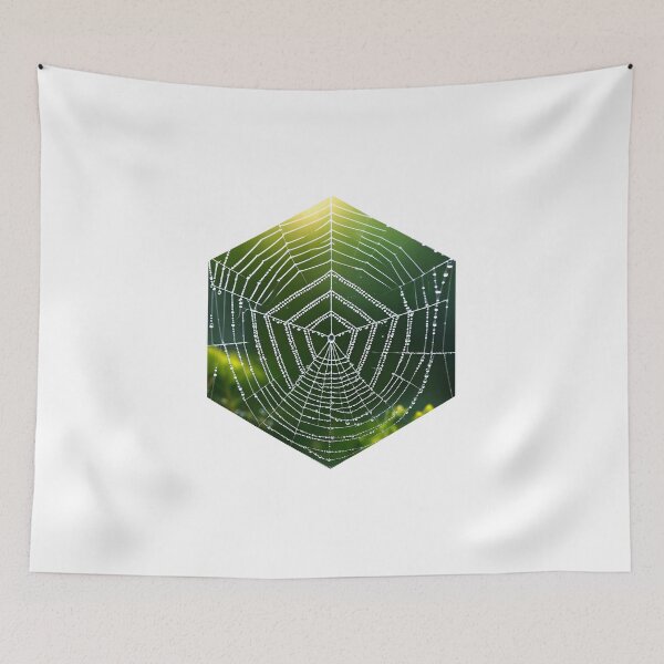 Item preview, Spider Web designed and sold by AbsoluteA.