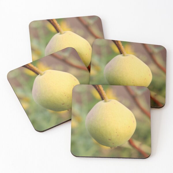Item preview, Fruta de pera designed and sold by PresMatPlays.