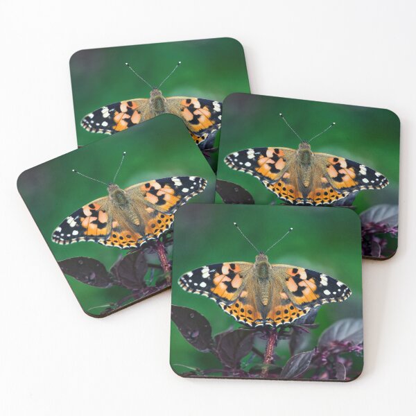 Item preview, The Painted Lady  designed and sold by Tom McPherson Photography.