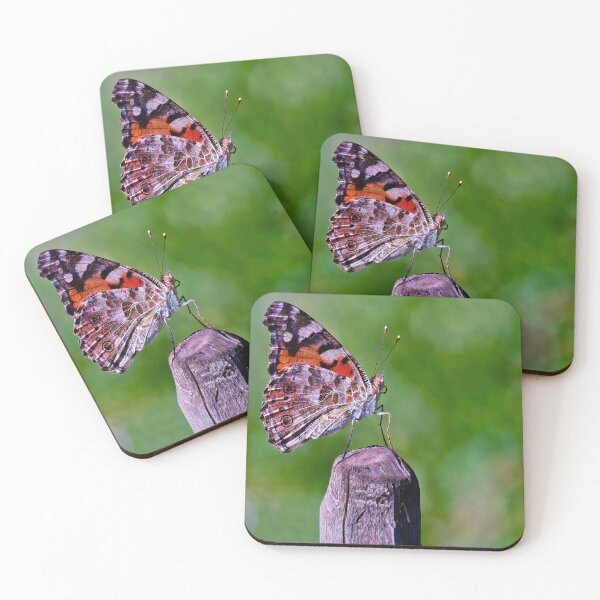 Item preview, The Painted Lady  designed and sold by Tom McPherson Photography.