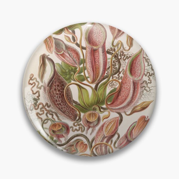 Item preview, Nepenthaceae  - Tropical Plants designed and sold by ncbennett.
