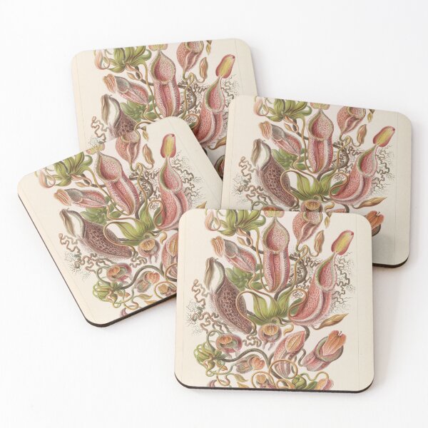 Item preview, Nepenthaceae  - Tropical Plants designed and sold by ncbennett.