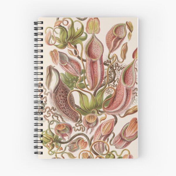 Item preview, Nepenthaceae  - Tropical Plants designed and sold by ncbennett.