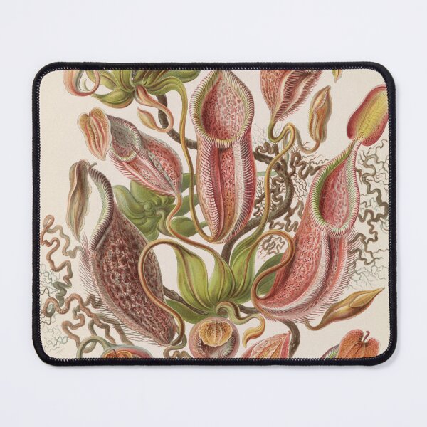 Item preview, Nepenthaceae - Tropical Plants designed and sold by ncbennett.