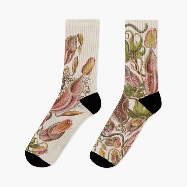 Item preview, Nepenthaceae  - Tropical Plants designed and sold by ncbennett.
