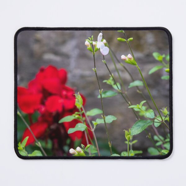 Item preview, Salvia microphylla designed and sold by jasminewang.