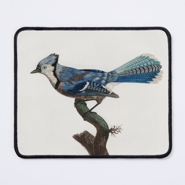 Item preview, Blue Jay designed and sold by ncbennett.