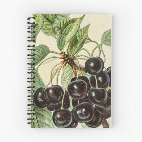 Item preview, Cherry  designed and sold by ncbennett.
