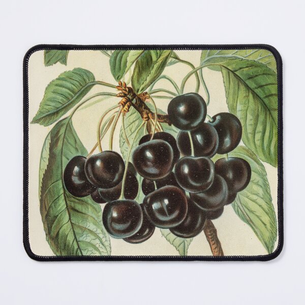 Item preview, Cherry  designed and sold by ncbennett.