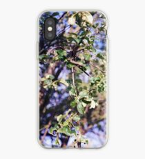 Big Girls Cry iPhone Case