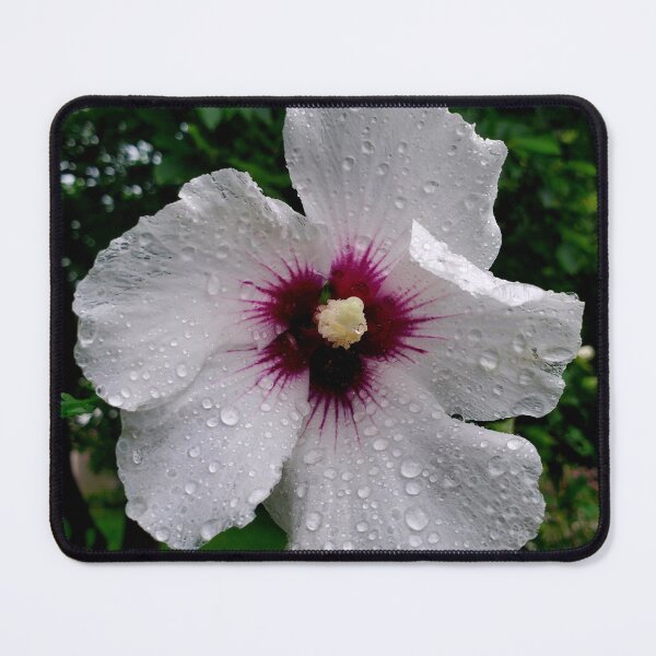 Item preview, Rain Flower designed and sold by NaturesState.