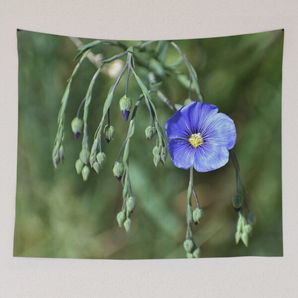 Item preview, Wild Blue Flax designed and sold by Len Bomba.