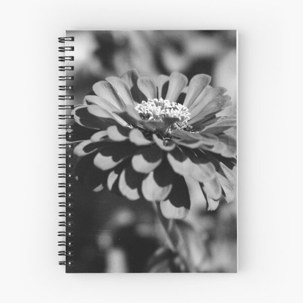 Item preview, Wild Zinnia designed and sold by Jake Kauffman.