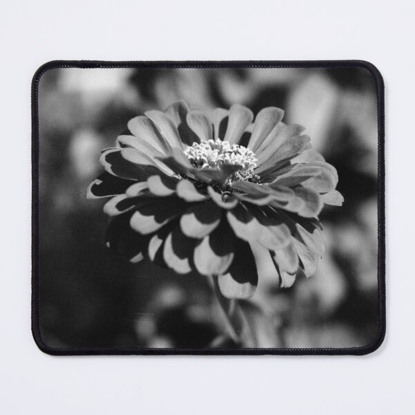 Item preview, Wild Zinnia designed and sold by Jake Kauffman.