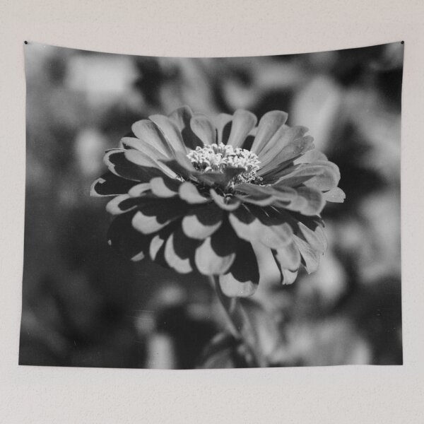 Item preview, Wild Zinnia designed and sold by Jake Kauffman.