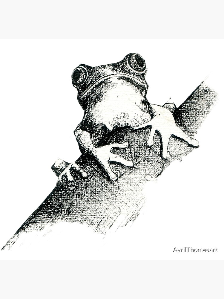 Thumbnail 3 of 3, Photographic Print, Frog on a Log Pen and ink drawing by Adelaide Artist Avril Thomas designed and sold by AvrilThomasart.