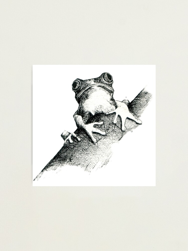 Thumbnail 1 of 3, Photographic Print, Frog on a Log Pen and ink drawing by Adelaide Artist Avril Thomas designed and sold by AvrilThomasart.