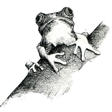 Artwork thumbnail, Frog on a Log Pen and ink drawing by Adelaide Artist Avril Thomas by AvrilThomasart