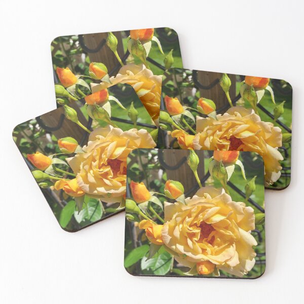 Item preview, Yellow climbing roses  designed and sold by CottageartbyDD.
