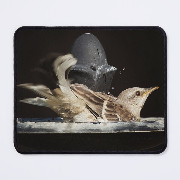 Item preview, Young Mockingbird Fledgling Attempting To Bathe designed and sold by CarolM.