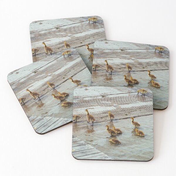 Item preview, Canada Goose Goslings Walking Out of The Water designed and sold by BackyardBirder.
