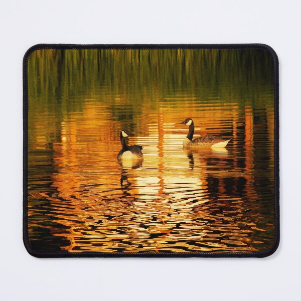 Item preview, We Were Sailing Along ... designed and sold by Lois Bryan.