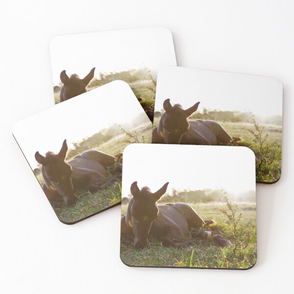 Item preview, Sleepy Filly designed and sold by Penny Kittel.
