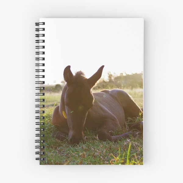 Item preview, Sleepy Filly designed and sold by Penny Kittel.