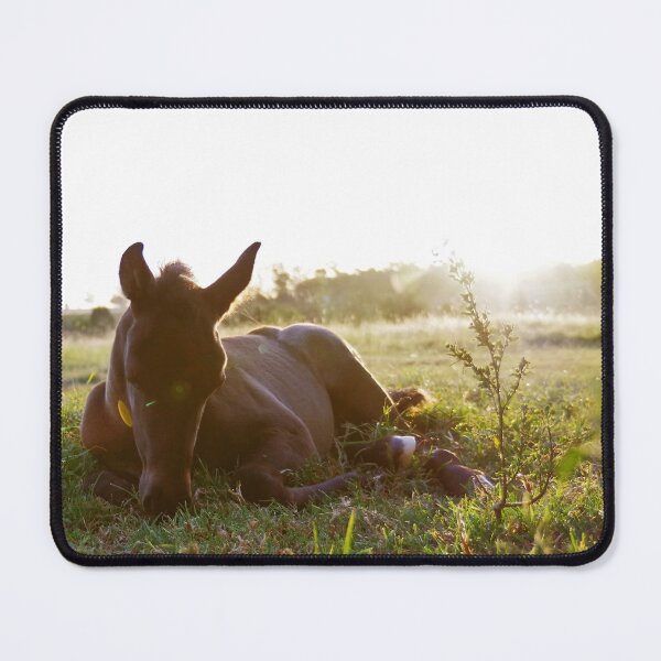 Item preview, Sleepy Filly designed and sold by Penny Kittel.