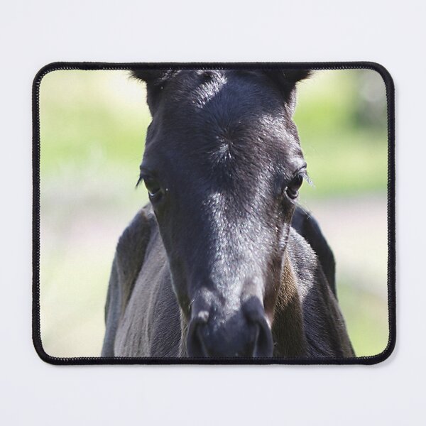 Item preview, Little Clippy designed and sold by Penny Kittel.
