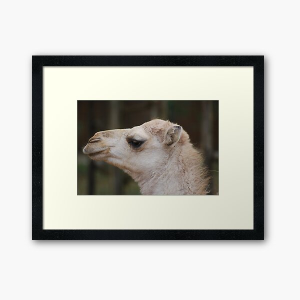 Item preview, Not Looking designed and sold by laureenr.