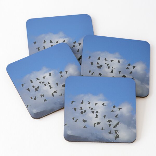 Item preview, The Australian White Iris Birds designed and sold by Joy Watson - Natural Light Photography .