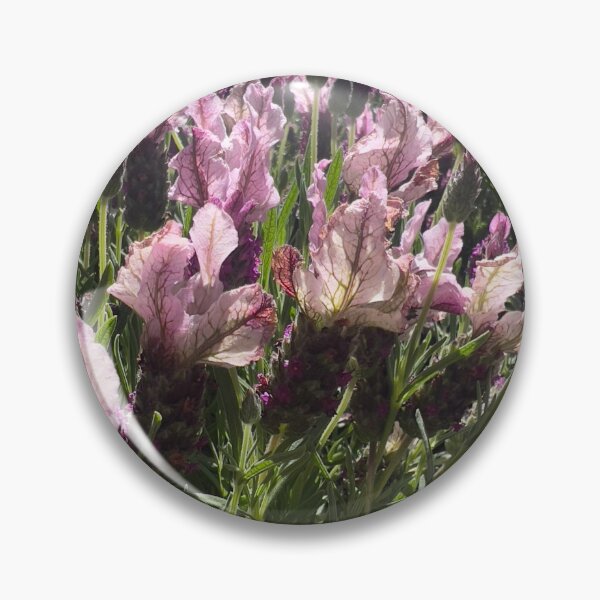 Item preview, French Lavender designed and sold by Betsy Phillips.