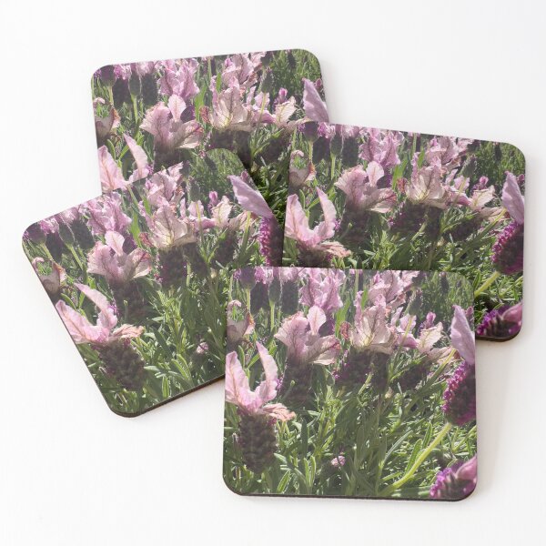 Item preview, French Lavender designed and sold by Betsy Phillips.