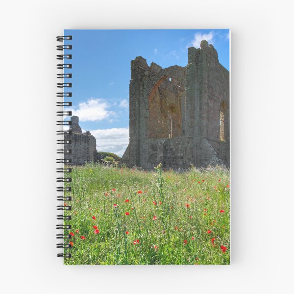 Item preview, Lindisfarne Priory designed and sold by Alisonchambers2.
