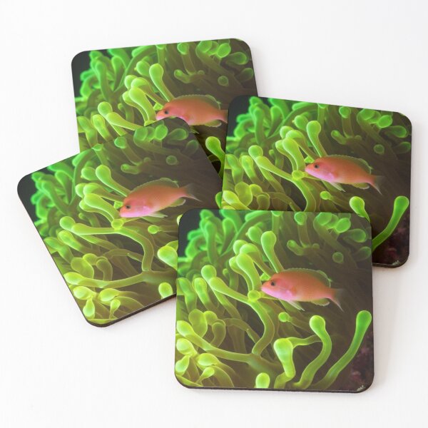Item preview, ORANGE FISH, PHOTO designed and sold by larissa-myrie.