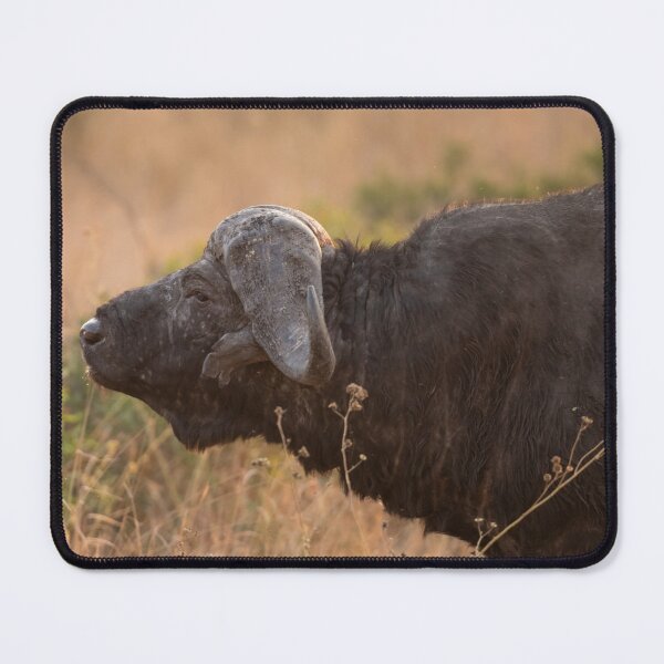 Item preview, Cape Buffalo designed and sold by MyAfricanSafari.