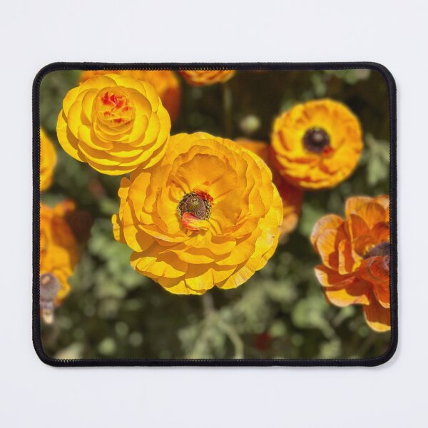 Item preview, Lost in Sunshine designed and sold by SabiduriaLatina.
