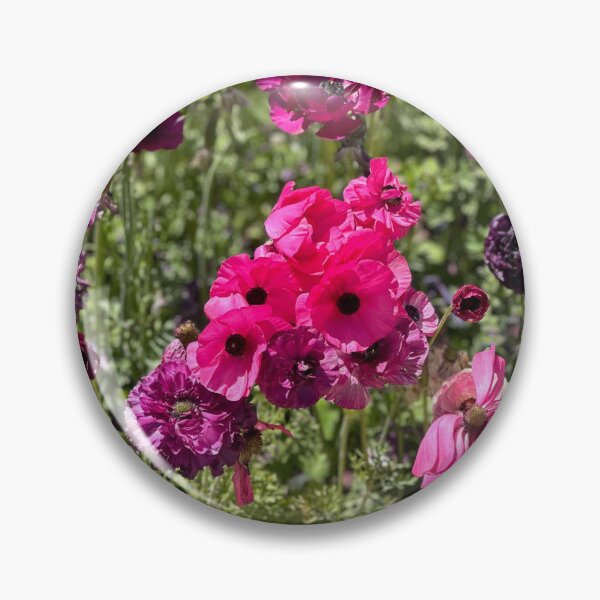 Item preview, Bold and Bashful  designed and sold by SabiduriaLatina.
