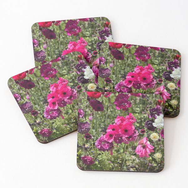 Item preview, Bold and Bashful  designed and sold by SabiduriaLatina.