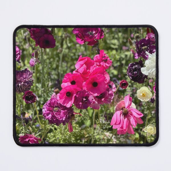 Item preview, Bold and Bashful designed and sold by SabiduriaLatina.