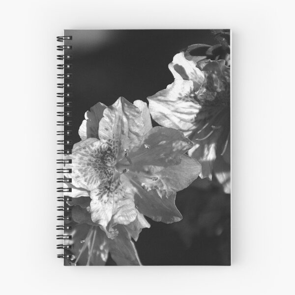 Artikelvorschau, Azaleenblüte Monochrom entworfen und verkauft von MercerImages.