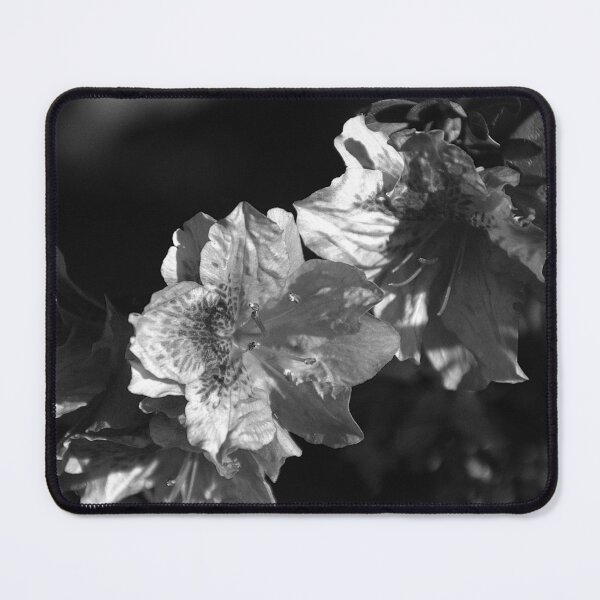 Item preview, Azalea Bloom Monochrome  designed and sold by MercerImages.