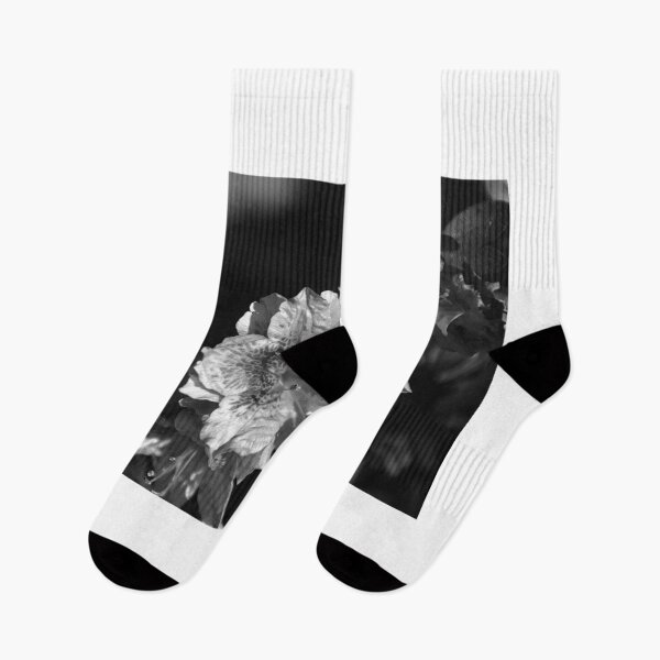 Item preview, Azalea Bloom Monochrome  designed and sold by MercerImages.