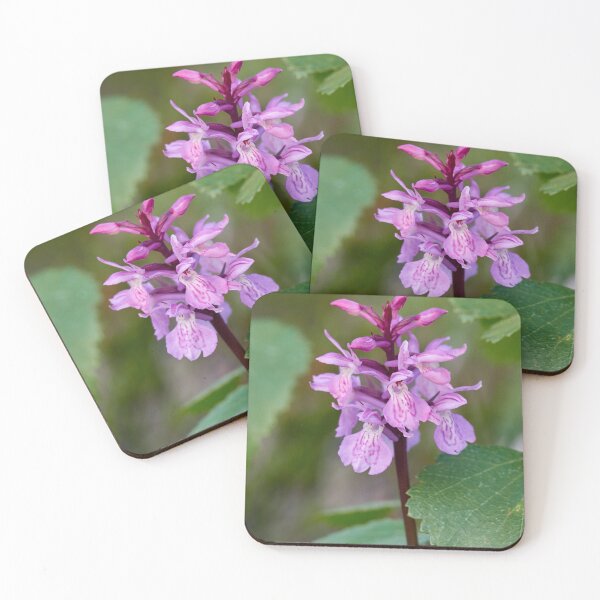Item preview, Getting the bloom. Early marsh-orchid designed and sold by Jouko Lehto Photography.
