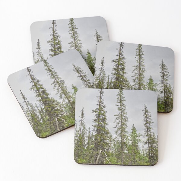 Item preview, Candle spruces. Pyha Nattanen 33 designed and sold by Jouko Lehto Photography.