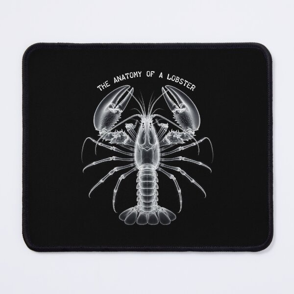 Item preview, Lobster Anatomy designed and sold by zzz888.
